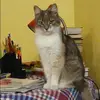 Отзыв от Серафима Абрамова